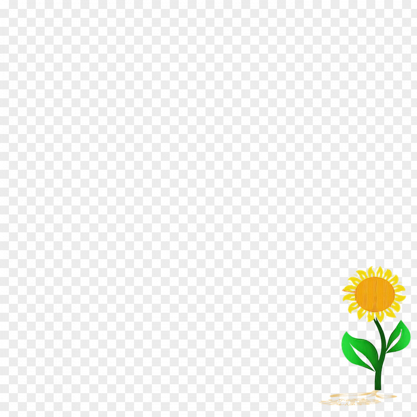 Floral Design PNG