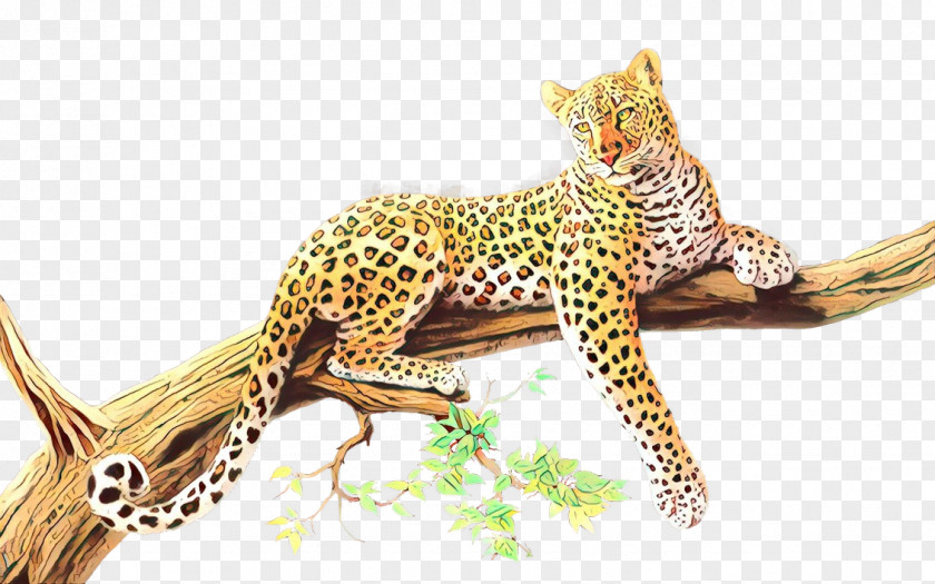 Leopard Clip Art Cheetah Jaguar PNG