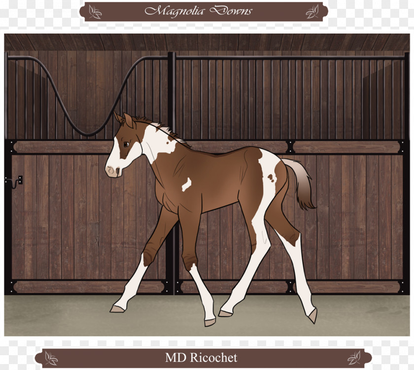 Mustang Stallion Foal Colt Mare PNG