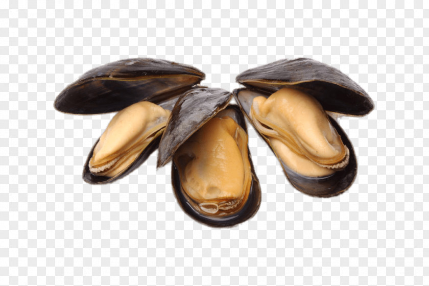 Parsley Blue Mussel Oyster Food Supper PNG