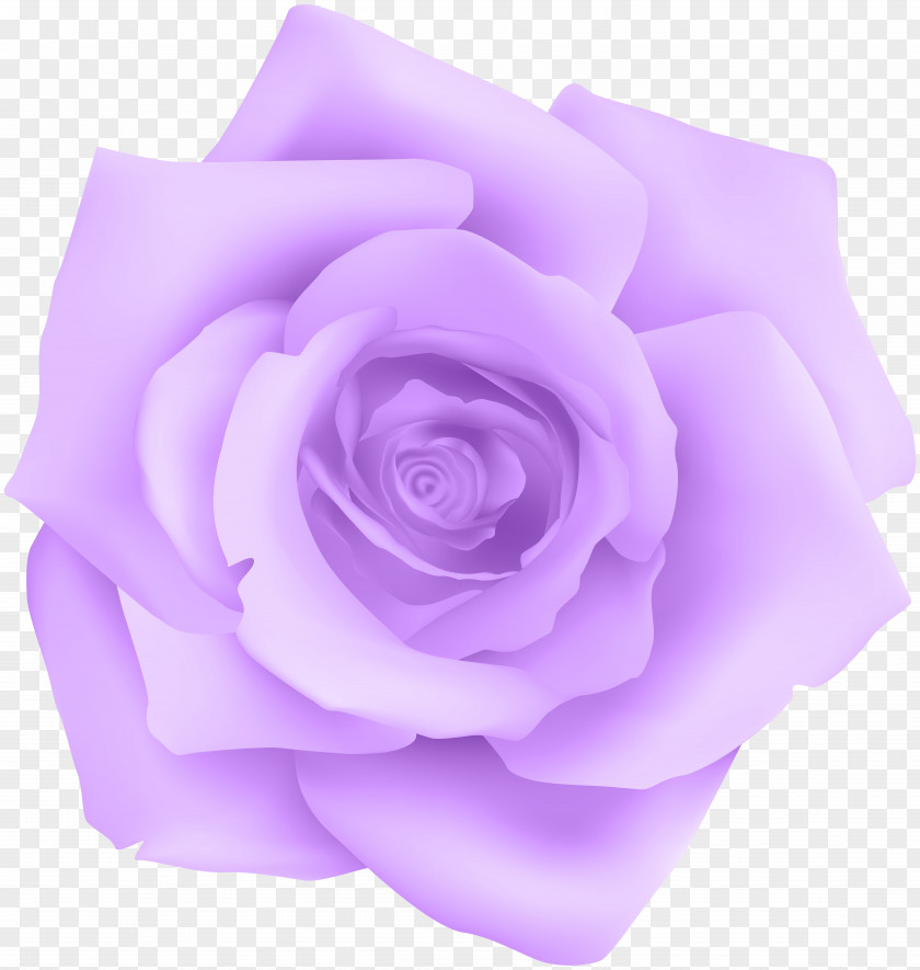 Purple Rose Transparent Clip Art Blue PNG