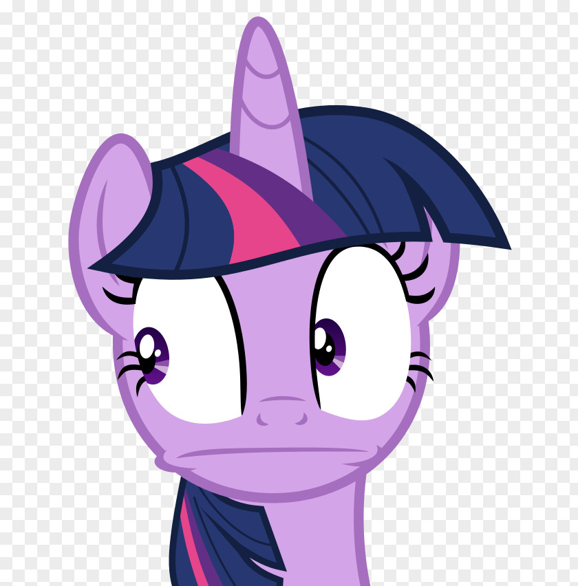 Twilight Sparkle Pony Princess Celestia Cadance Applejack PNG