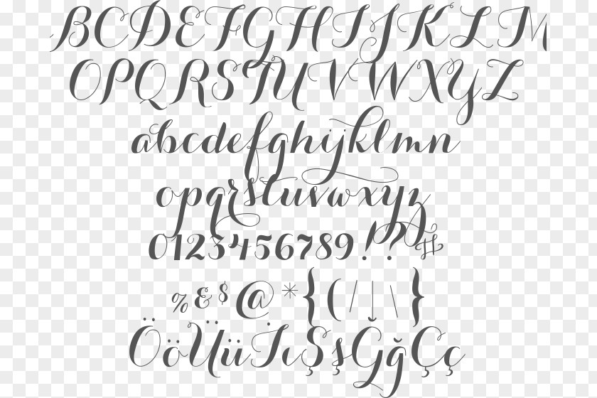 Wedding Fonts Calligraphy Handwriting Typeface Font Family PNG