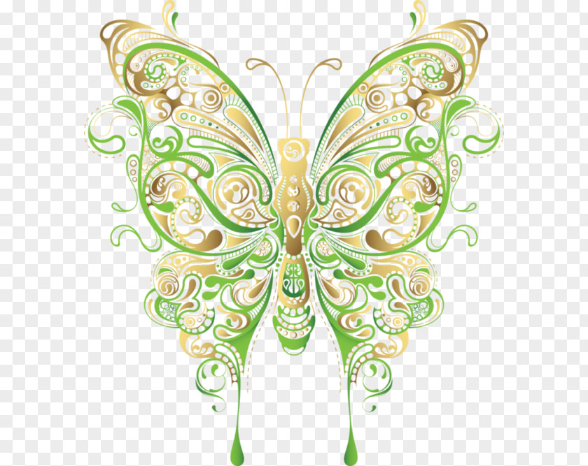 Butterfly Clip Art Vector Graphics Flower Image PNG