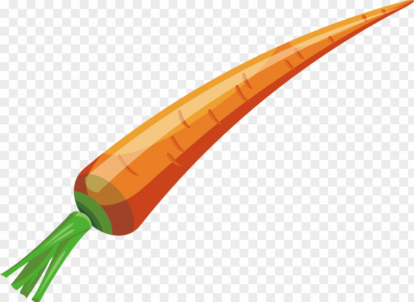 Cheap Carrot Angle PNG