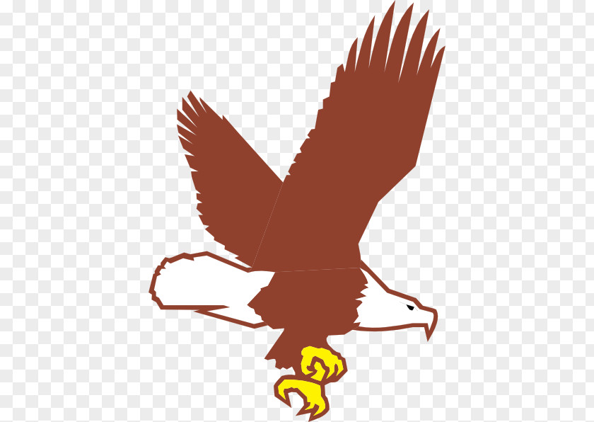 Eagle Flying Cliparts Bald Clip Art PNG