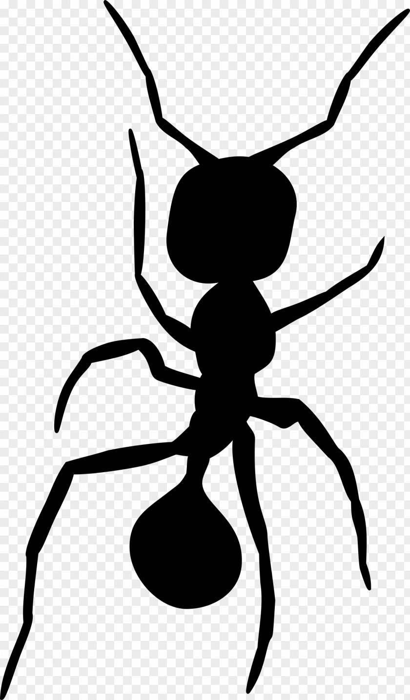 Ants Ant Insect Silhouette Clip Art PNG