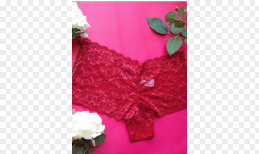 Calcinha Lace Pink M Silk Wool PNG