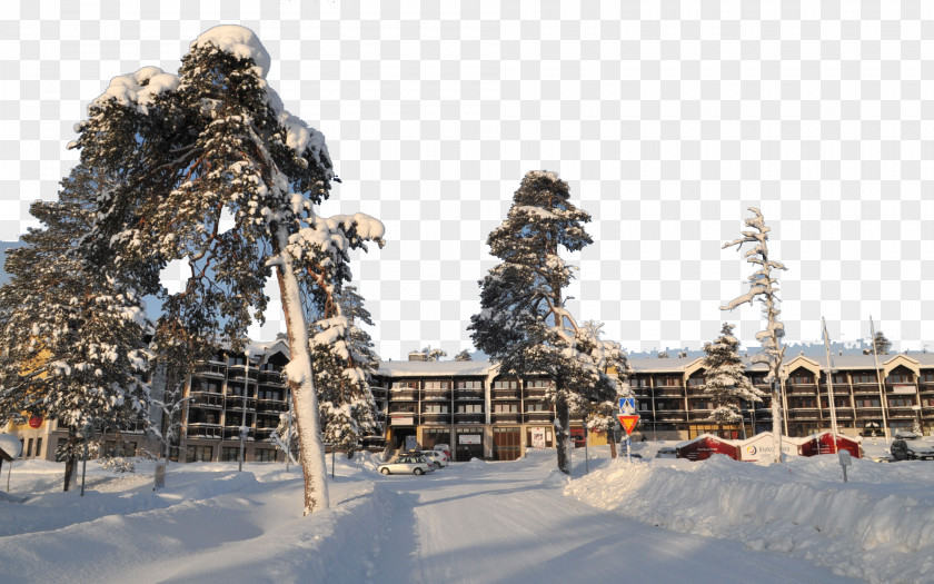 Finland Snow Seventeen Pohjanlahti Wallpaper PNG