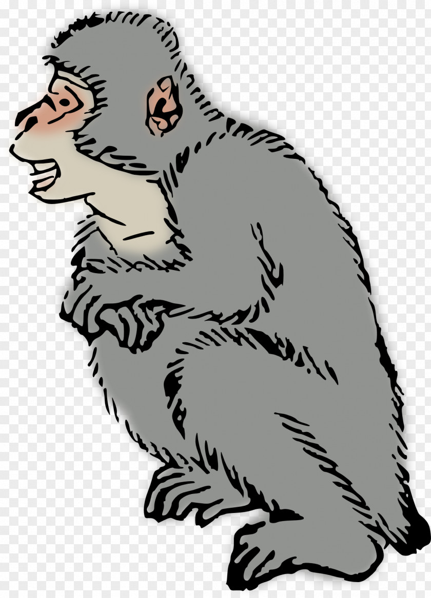 Monkey Ape Japanese Macaque Clip Art PNG