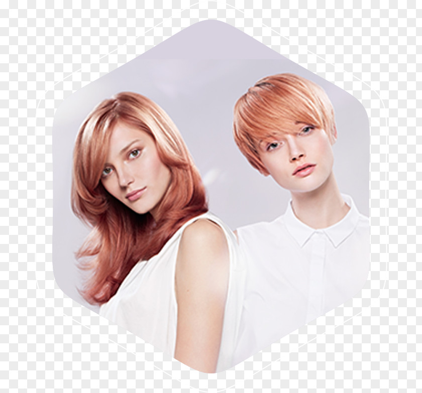 Beauty Parlour Certificate Hairstyle Hair Coloring Human Color Wella PNG