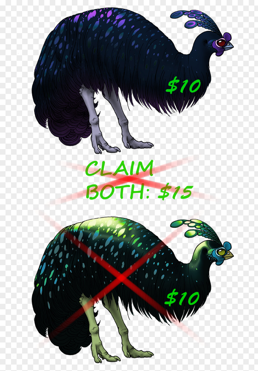 Bird Flightless DeviantArt Ratite PNG