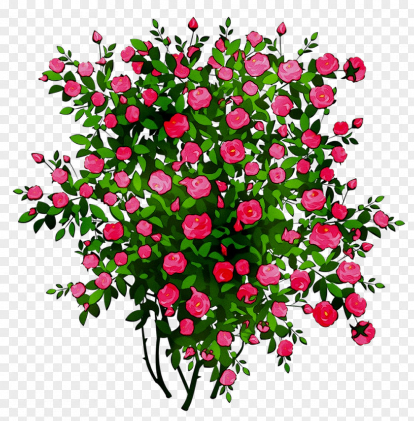Clip Art Rose Free Content Image PNG