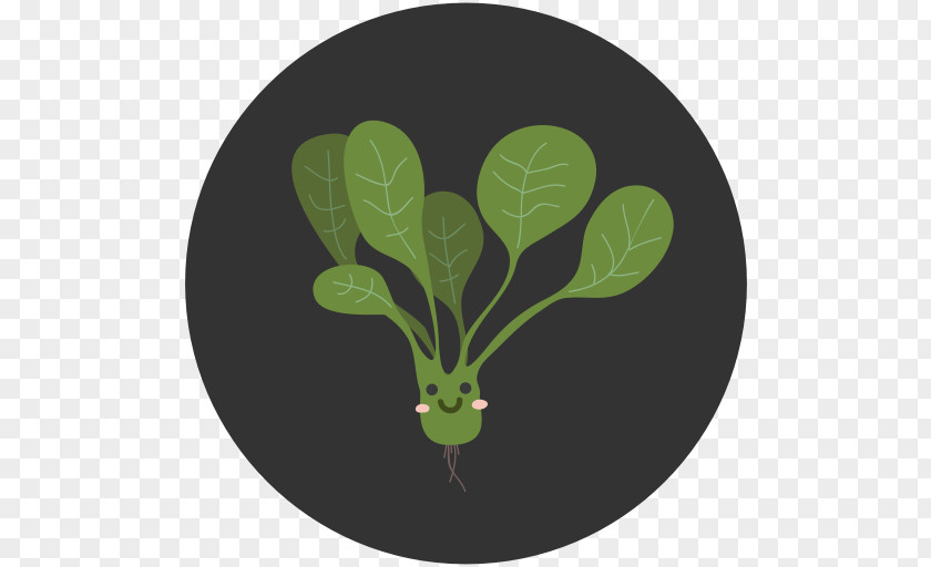 Vegetable Spinach PNG