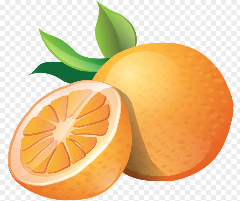 Orange Clip Art Openclipart Download PNG