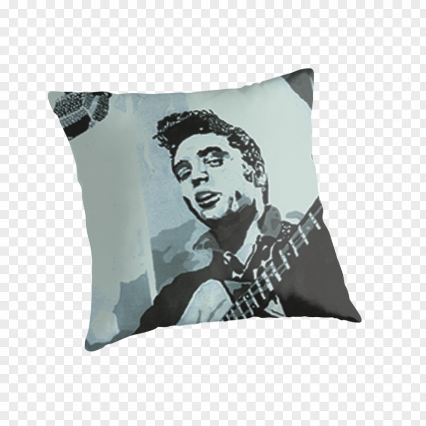 Pillow Throw Pillows Cushion PNG