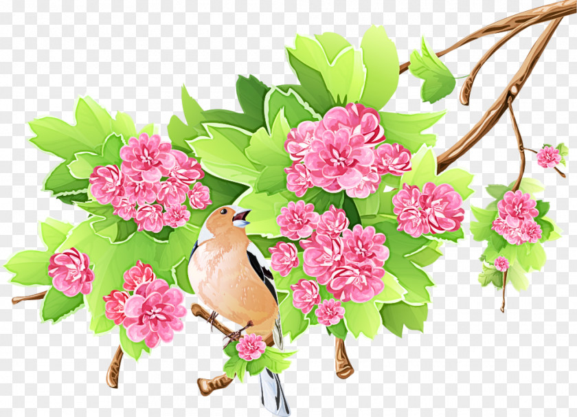Spring Branch Flower Clip Art Plant Pink Cut Flowers PNG