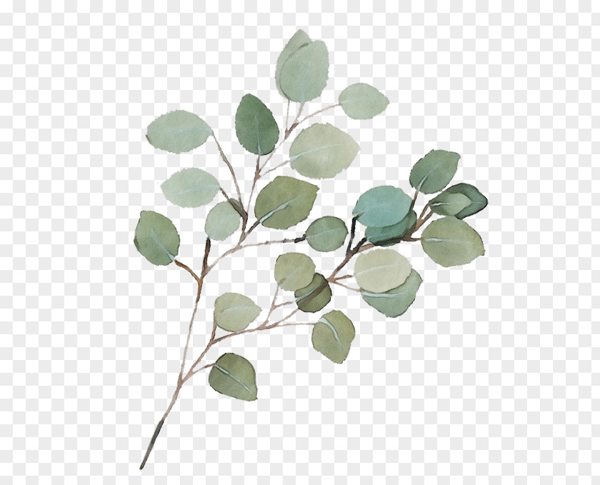 Twig Flowering Plant Leaf Flower Branch Tree PNG