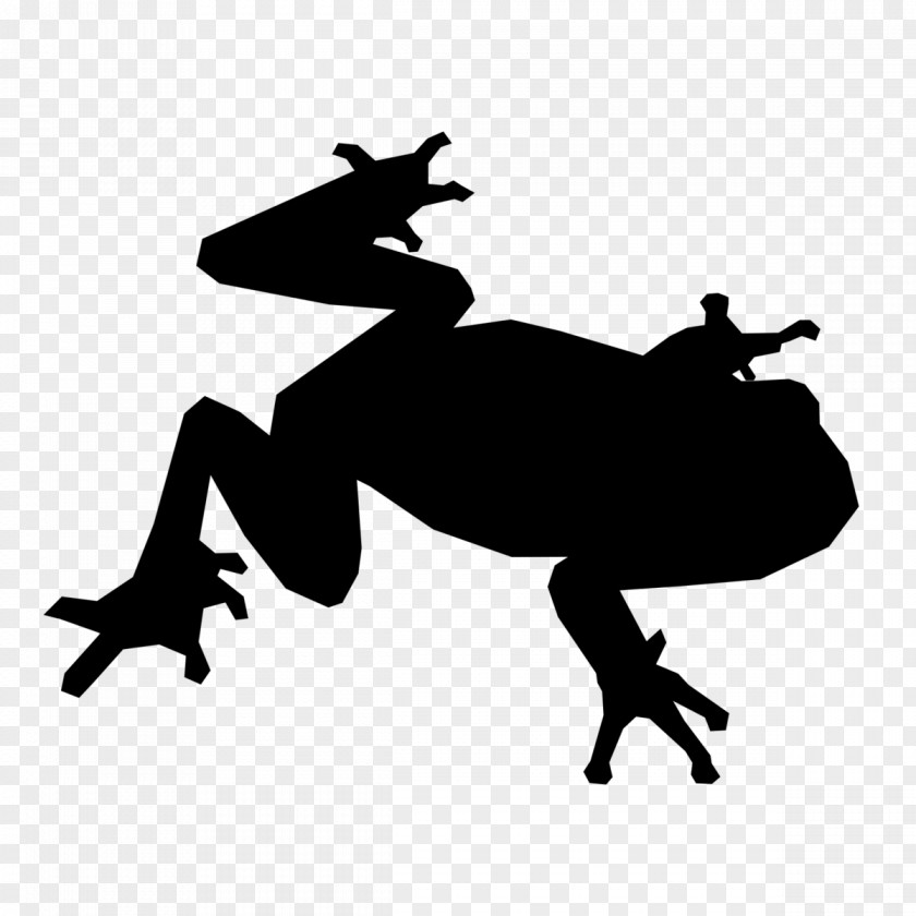 Vector Frog Toad Control Key PNG