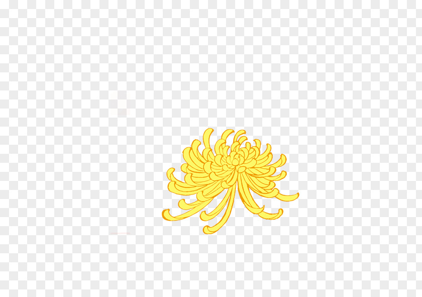 Chrysanthemum Petal Yellow Pattern PNG