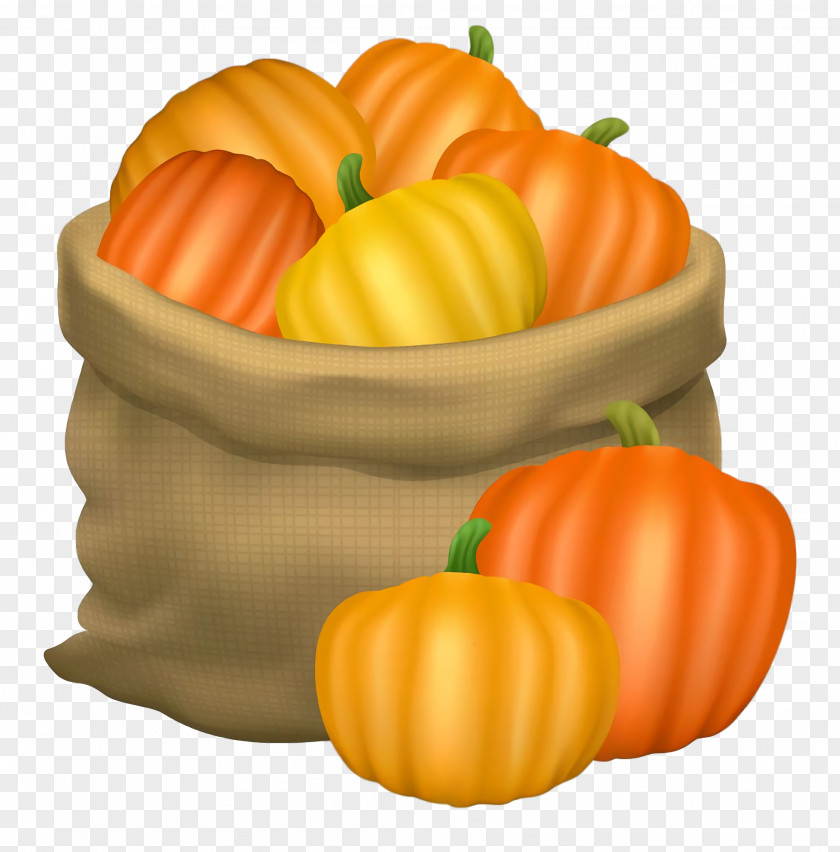 Thanksgiving Autumn Harvest PNG