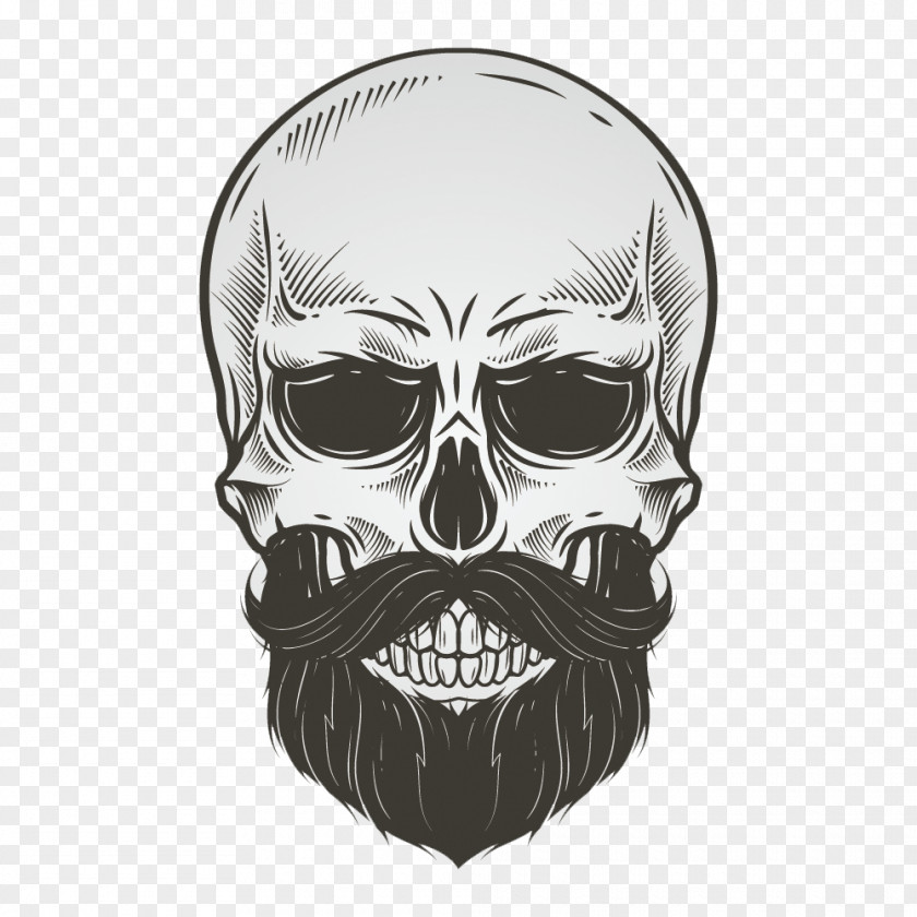 Vector Bearded Skull Beard Drawing Illustration PNG