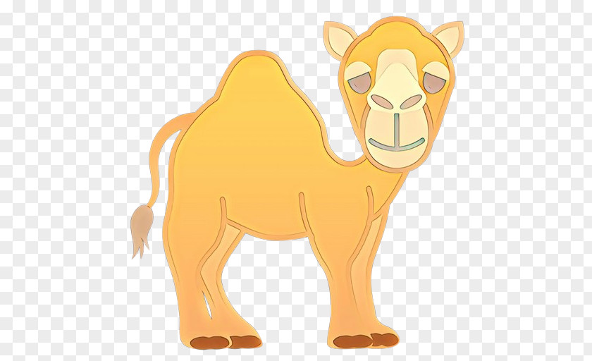 Wildlife Fawn Arabian Camel Dromedary Bactrian Lion PNG