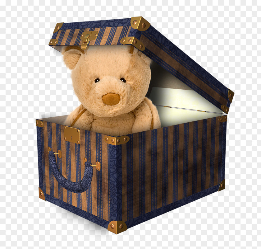 Box Surprise Bear Stuffed Toy PNG