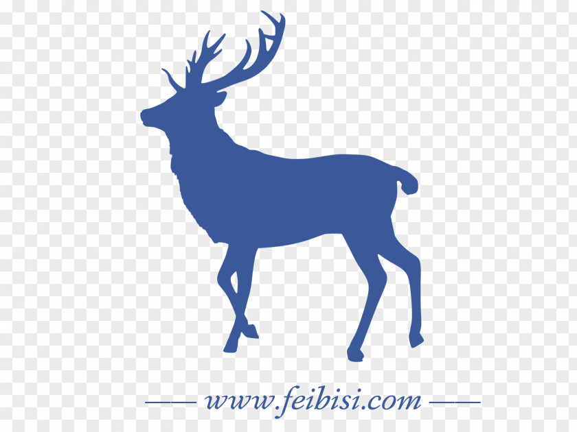 Deer Hunting Antler Image Illustration PNG