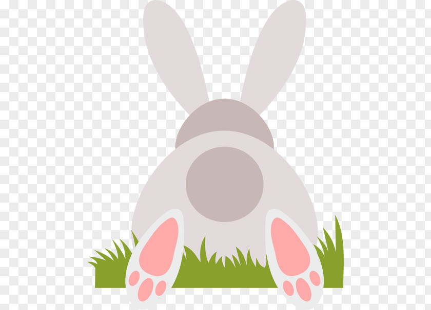 Easter Bunny Domestic Rabbit Hare Clip Art PNG