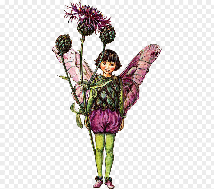 Fairy The Book Of Flower Fairies Tooth Tale PNG