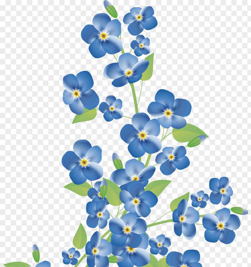 Flower Stock Photography PNG