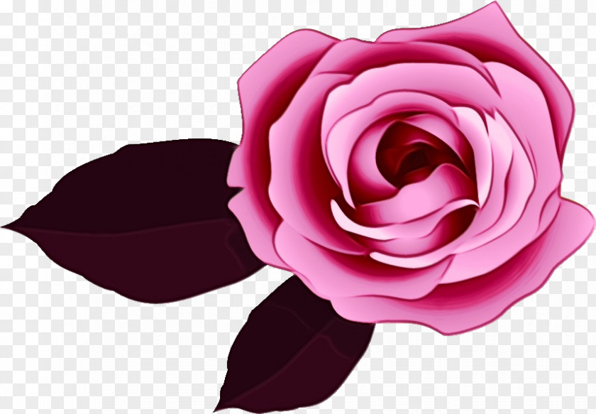 Garden Roses PNG