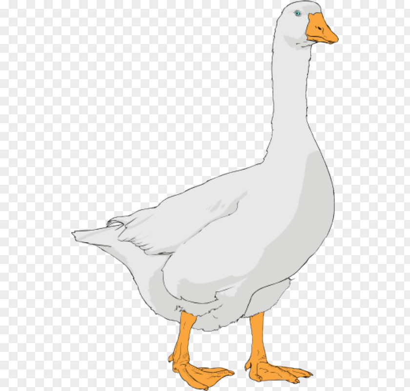 Goose Clip Art Openclipart Free Content Image PNG