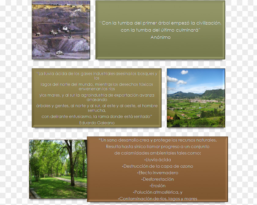 Medio Ambiente Cerrejón Landscape Brochure Colombia PNG