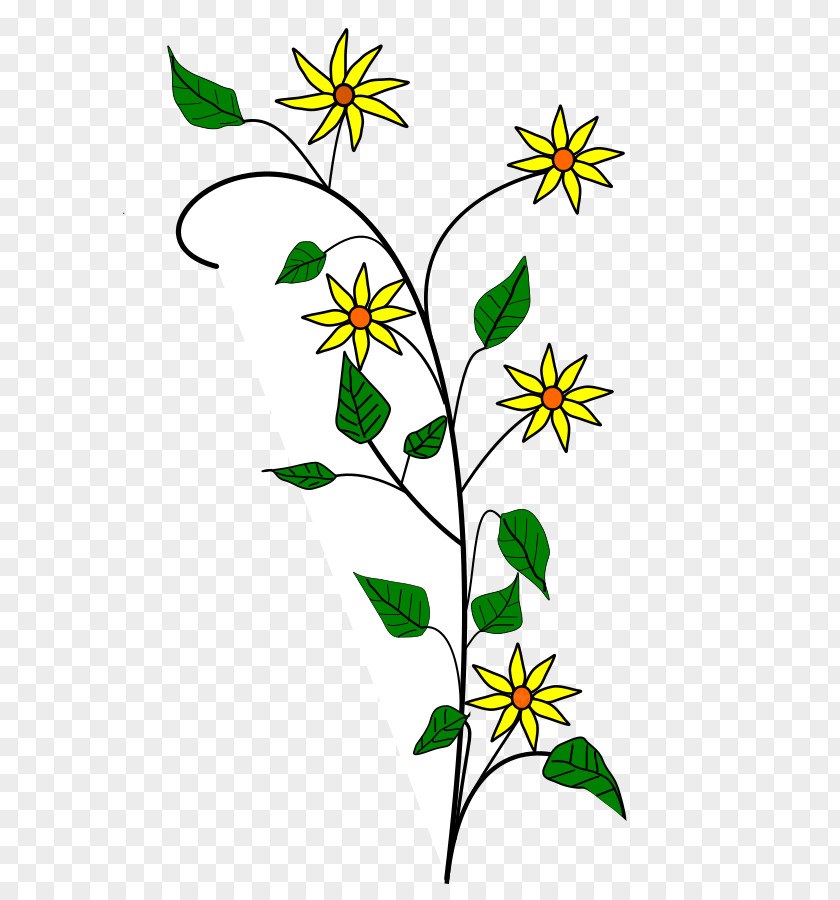 Motif Cliparts Flower Edelweiss Clip Art PNG