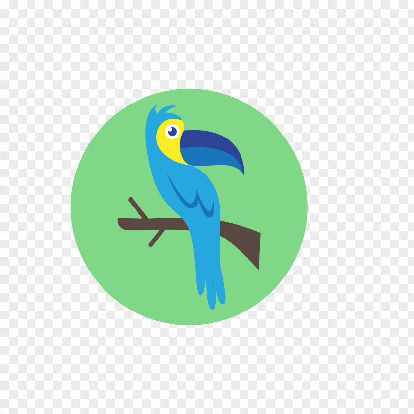 Parrot Bird Blue Beak PNG