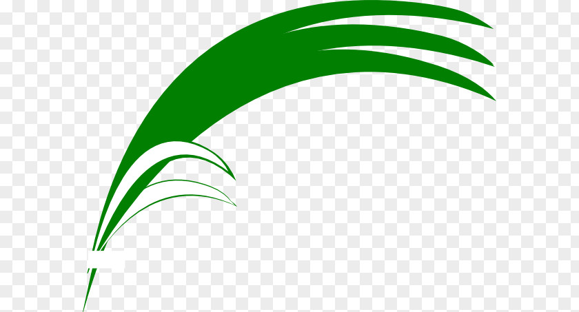 Pride Flag Logo Leaf Brand Font PNG