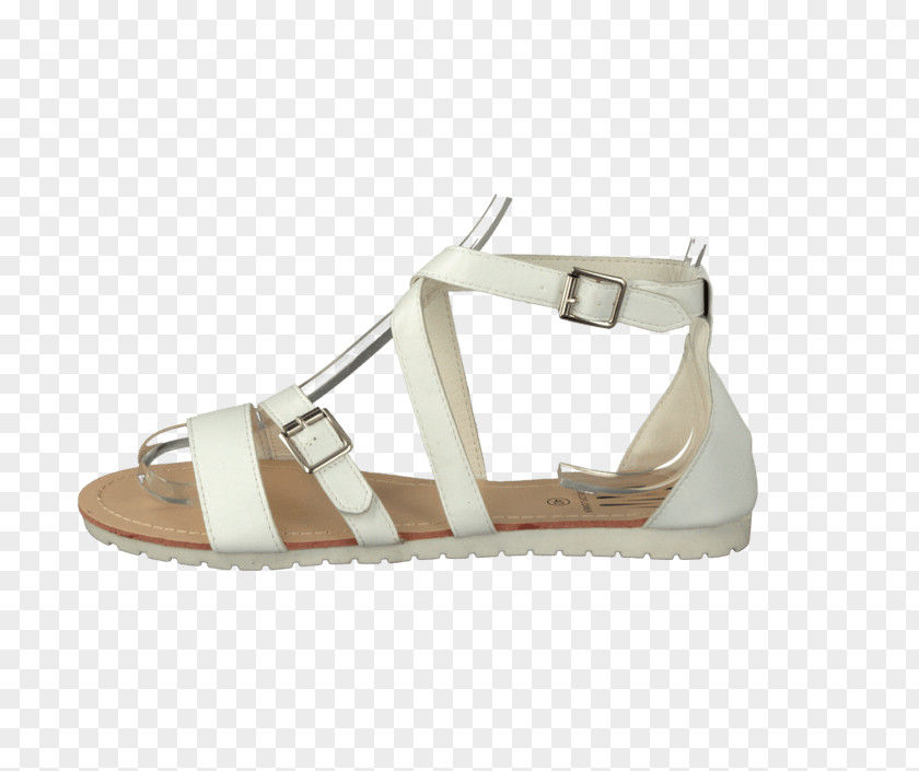 Sandal Slipper Fashion Shoe Reef PNG