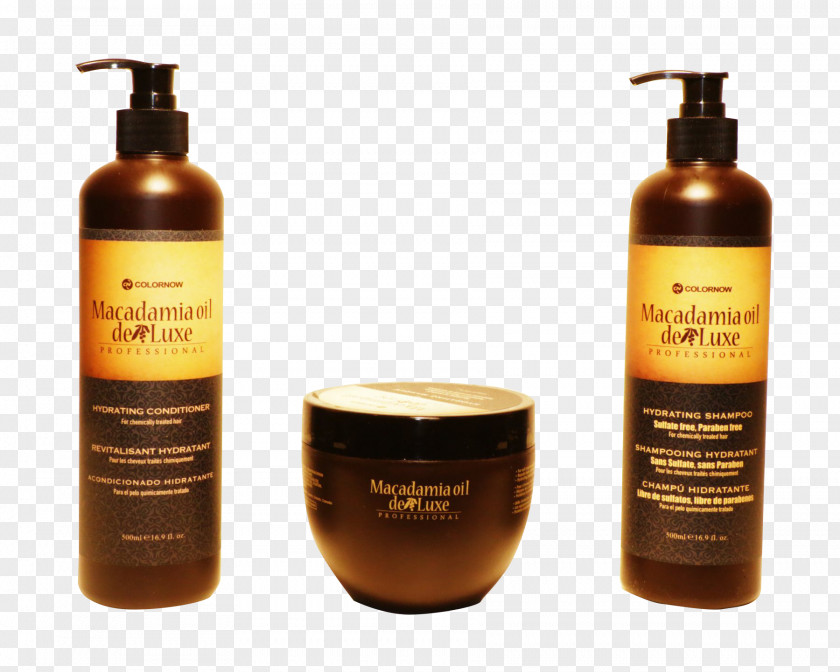 Shampoo Lotion Sulfate Hair Conditioner PNG