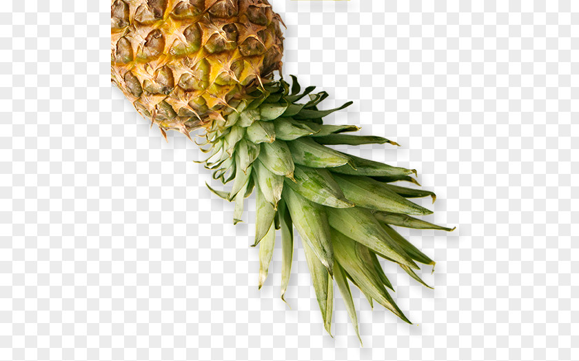 Pineapple Food Recipe Eating Veganism PNG