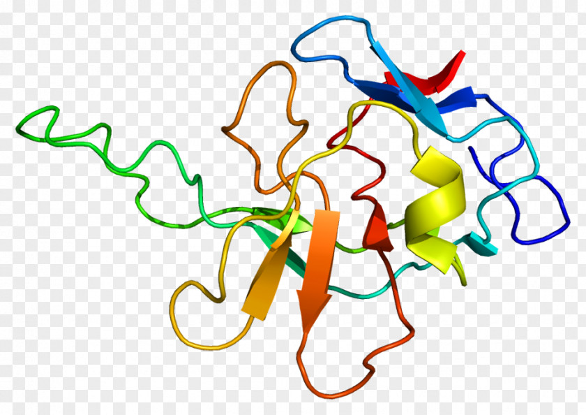 RABIF Protein Gene RAB8A PNG