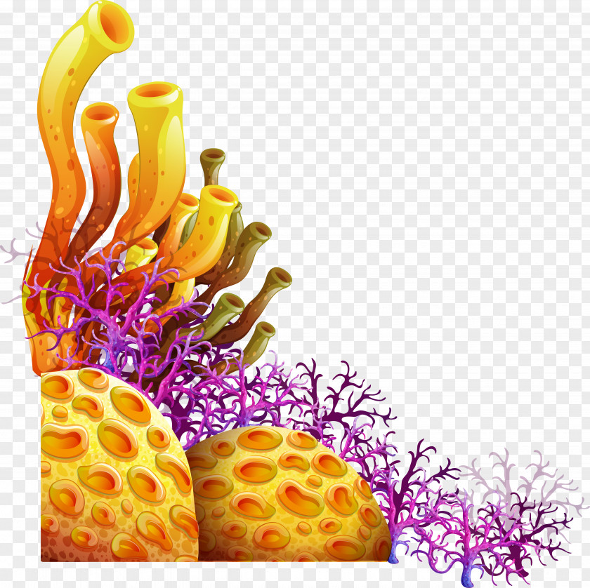 Sea Living Corals Vector Graphics Royalty-free Illustration PNG