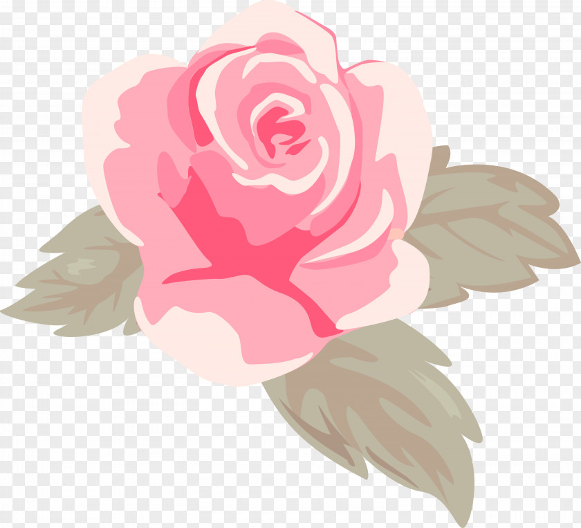 Garden Roses PNG