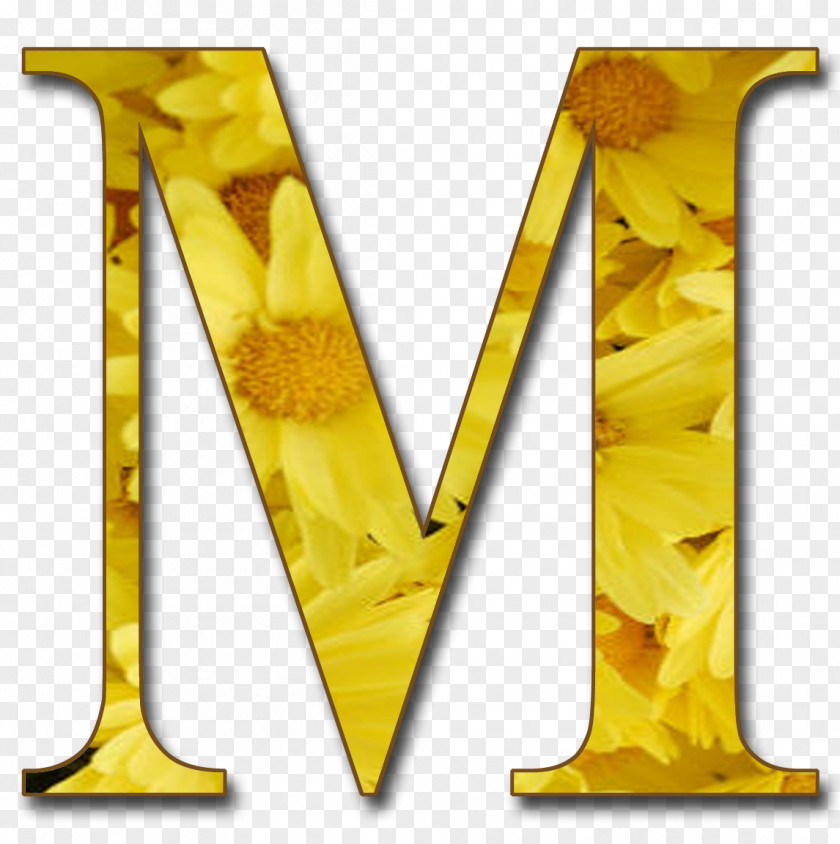 Letter Case Alphabet M Paper PNG