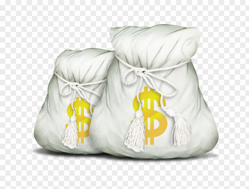 Purse Money Icon PNG