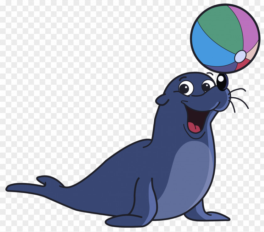 Sea Lions Whiskers Cartoon Cat Dog PNG