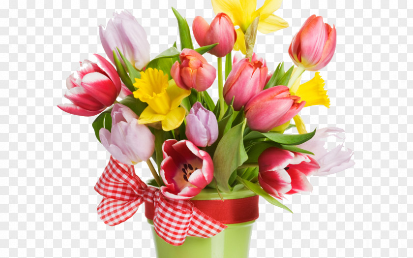 Tulip Stock Photography Image Royalty-free Flower PNG