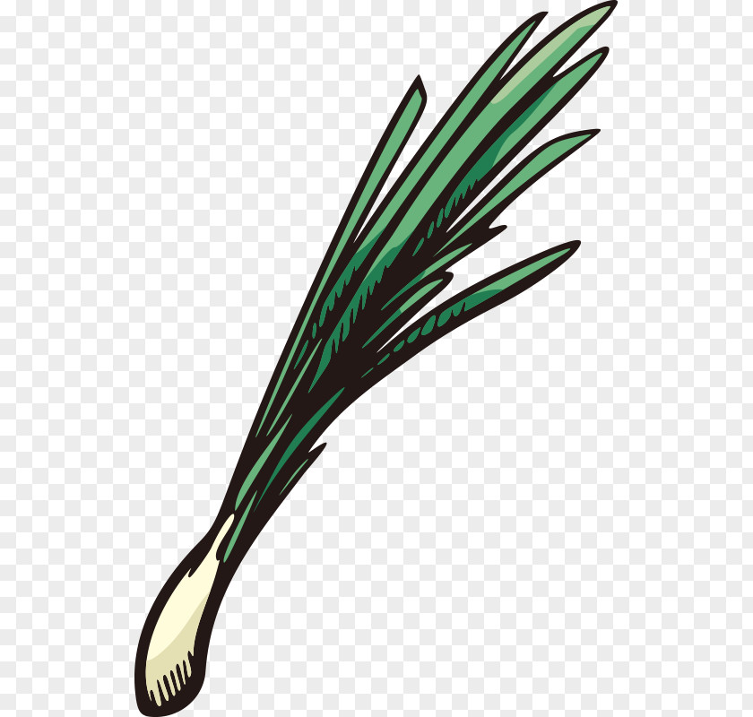 Hand Painted,Stick Figure,Fruits And Vegetables,vegetables,Fruits Vegetables,Cartoon Vegetable Scallion Onion Fruit PNG