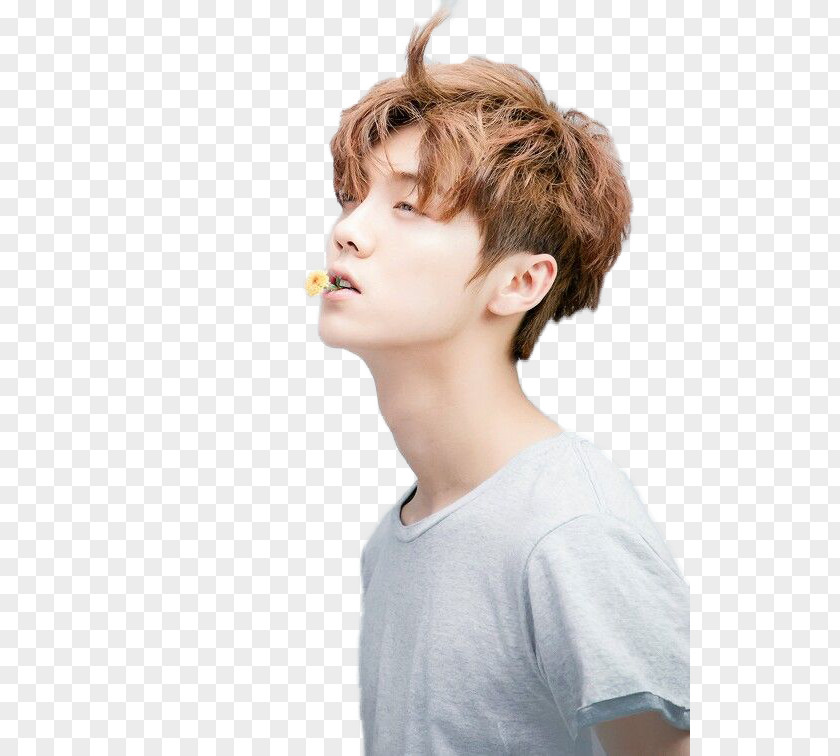Have A Haircut Lu Han Exo-CBX K-pop PNG